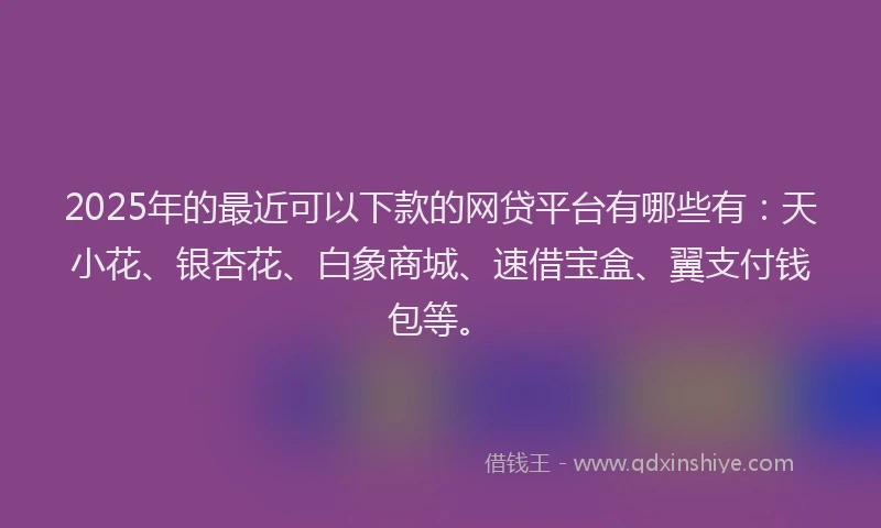 2025年的最近可以下款的网贷平台有哪些有：天小花、银杏花、白象商城、速借宝盒、翼支付钱包等。