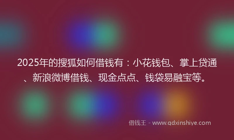 2025年的搜狐如何借钱有：小花钱包、掌上贷通、新浪微博借钱、现金点点、钱袋易融宝等。