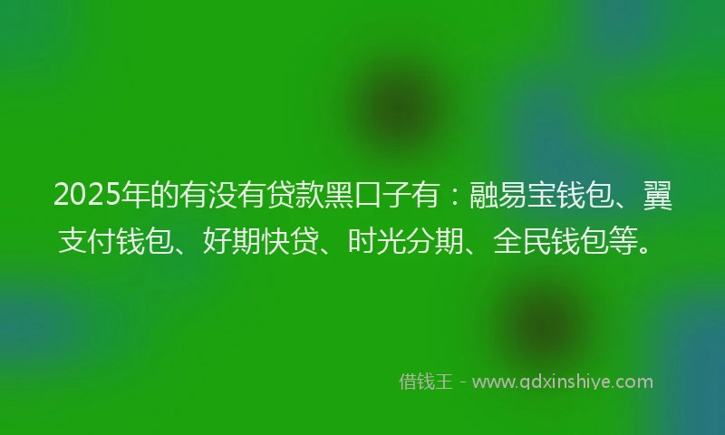 2025年的有没有贷款黑口子有：融易宝钱包、翼支付钱包、好期快贷、时光分期、全民钱包等。
