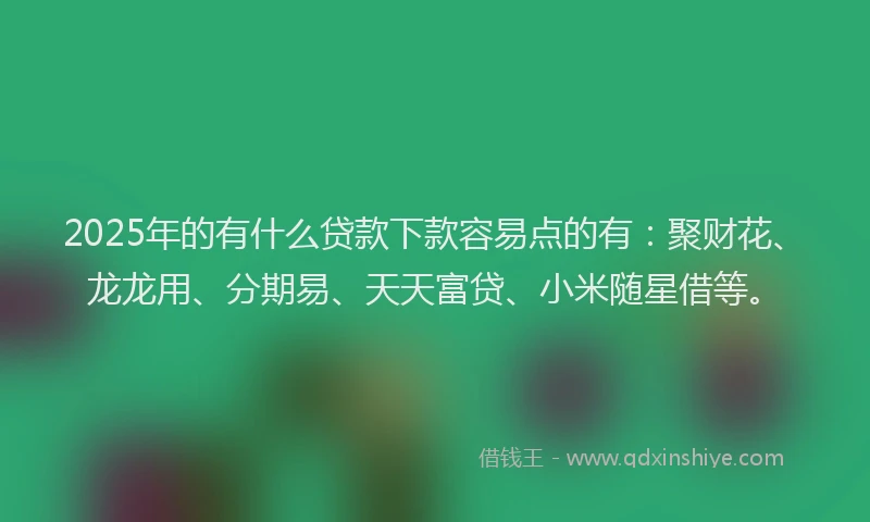 2025年的有什么贷款下款容易点的有：聚财花、龙龙用、分期易、天天富贷、小米随星借等。