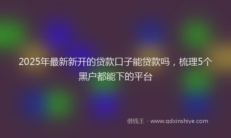 2025年最新新开的贷款口子能贷款吗，梳理5个黑户都能下的平台