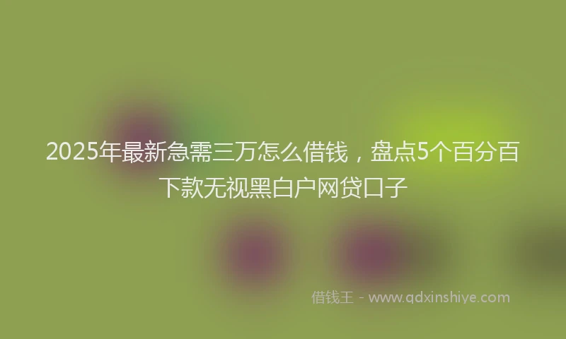 2025年最新急需三万怎么借钱，盘点5个百分百下款无视黑白户网贷口子