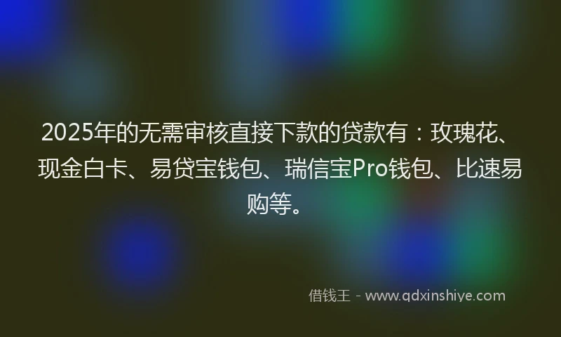 2025年的无需审核直接下款的贷款有：玫瑰花、现金白卡、易贷宝钱包、瑞信宝Pro钱包、比速易购等。