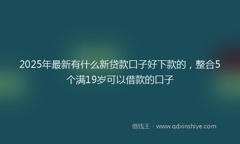 2025年最新有什么新贷款口子好下款的，整合5个满19岁可以借款的口子