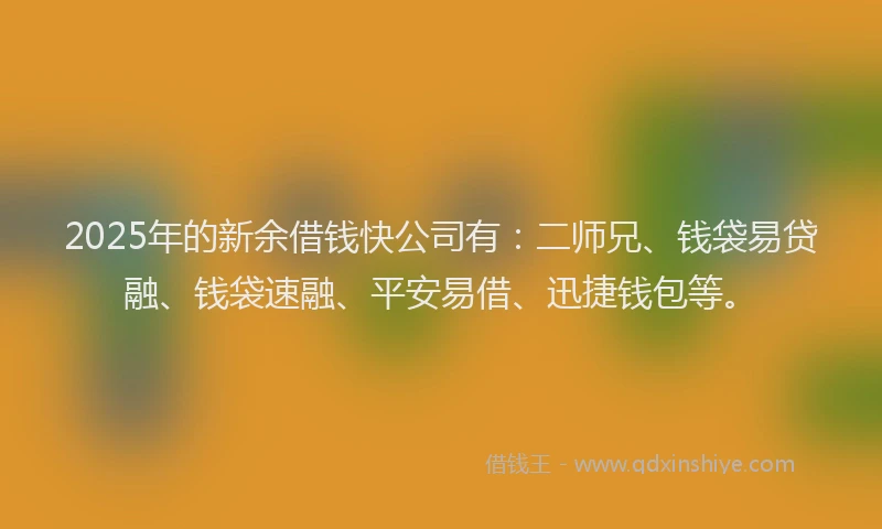 2025年的新余借钱快公司有：二师兄、钱袋易贷融、钱袋速融、平安易借、迅捷钱包等。