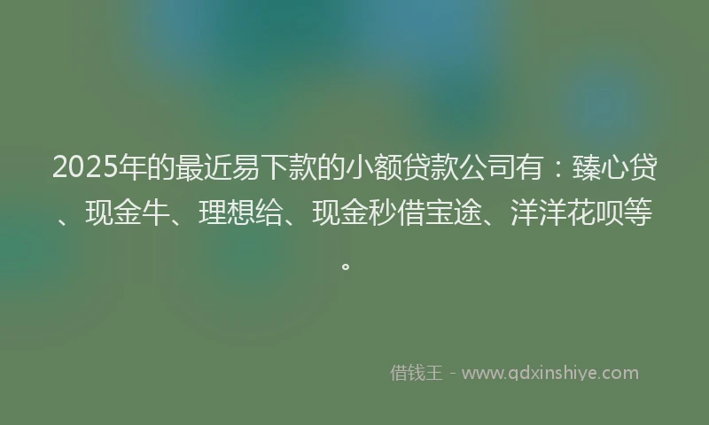 2025年的最近易下款的小额贷款公司有：臻心贷、现金牛、理想给、现金秒借宝途、洋洋花呗等。