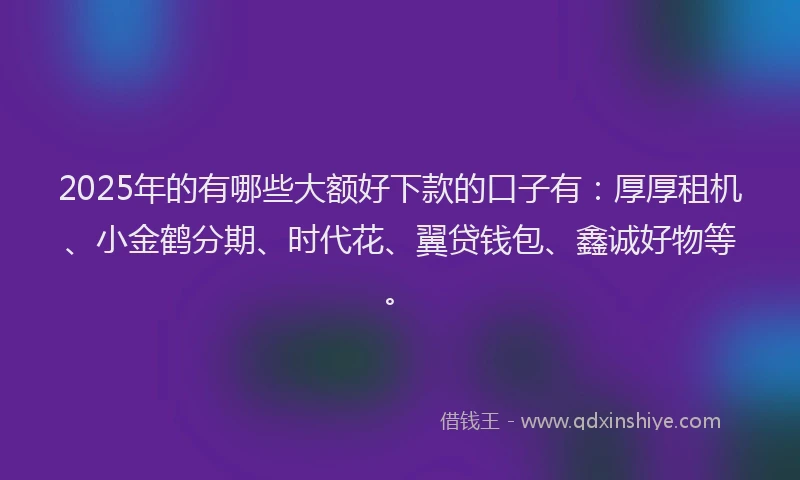 2025年的有哪些大额好下款的口子有：厚厚租机、小金鹤分期、时代花、翼贷钱包、鑫诚好物等。