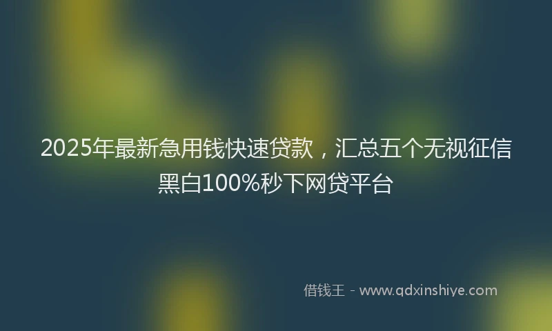 2025年最新急用钱快速贷款，汇总五个无视征信黑白100%秒下网贷平台