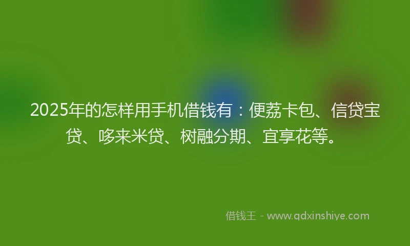 2025年的怎样用手机借钱有：便荔卡包、信贷宝贷、哆来米贷、树融分期、宜享花等。