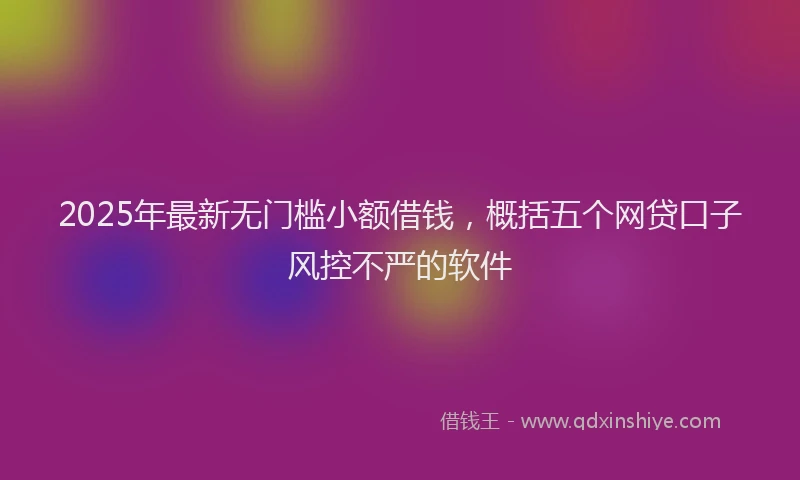 2025年最新无门槛小额借钱，概括五个网贷口子风控不严的软件