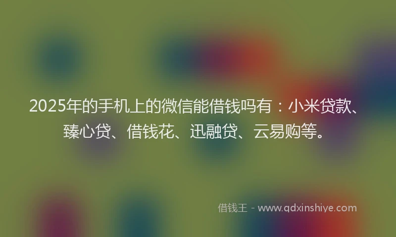 2025年的手机上的微信能借钱吗有：小米贷款、臻心贷、借钱花、迅融贷、云易购等。