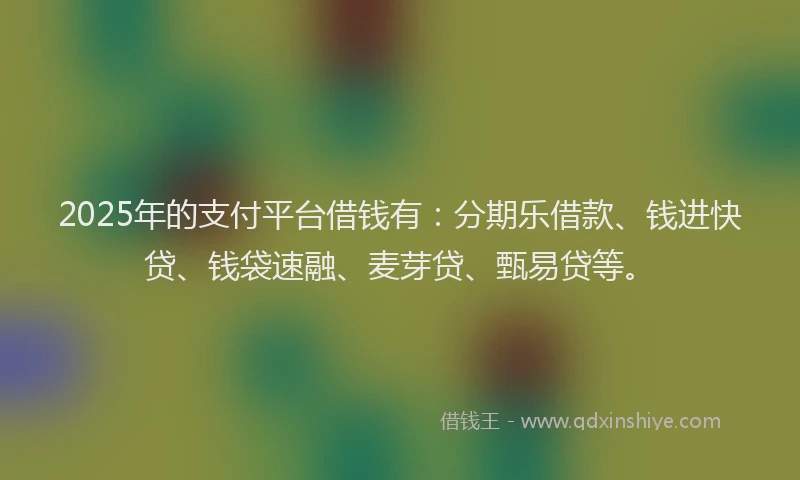 2025年的支付平台借钱有：分期乐借款、钱进快贷、钱袋速融、麦芽贷、甄易贷等。
