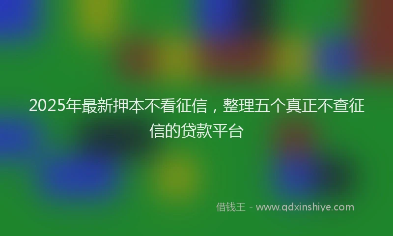 2025年最新押本不看征信，整理五个真正不查征信的贷款平台