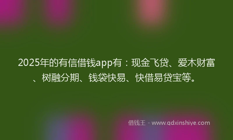2025年的有信借钱app有：现金飞贷、爱木财富、树融分期、钱袋快易、快借易贷宝等。
