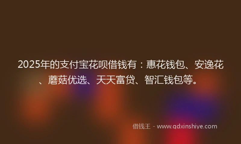 2025年的支付宝花呗借钱有：惠花钱包、安逸花、蘑菇优选、天天富贷、智汇钱包等。