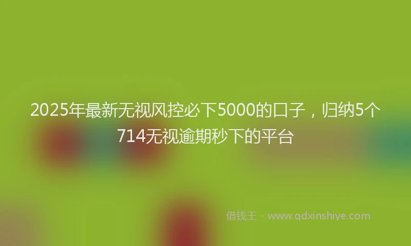 2025年最新无视风控必下5000的口子，归纳5个714无视逾期秒下的平台
