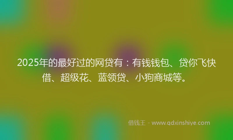 2025年的最好过的网贷有：有钱钱包、贷你飞快借、超级花、蓝领贷、小狗商城等。