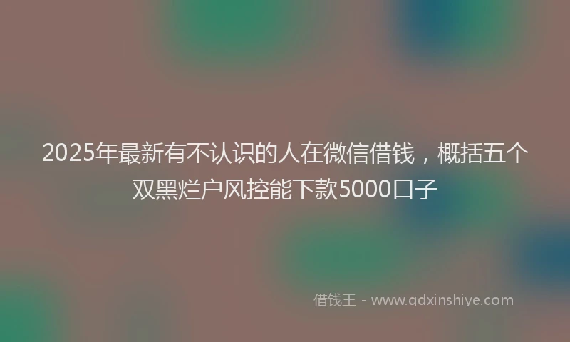 2025年最新有不认识的人在微信借钱，概括五个双黑烂户风控能下款5000口子