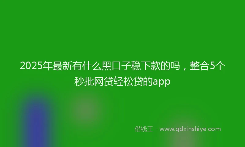 2025年最新有什么黑口子稳下款的吗，整合5个秒批网贷轻松贷的app