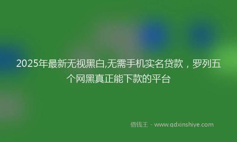 2025年最新无视黑白,无需手机实名贷款，罗列五个网黑真正能下款的平台