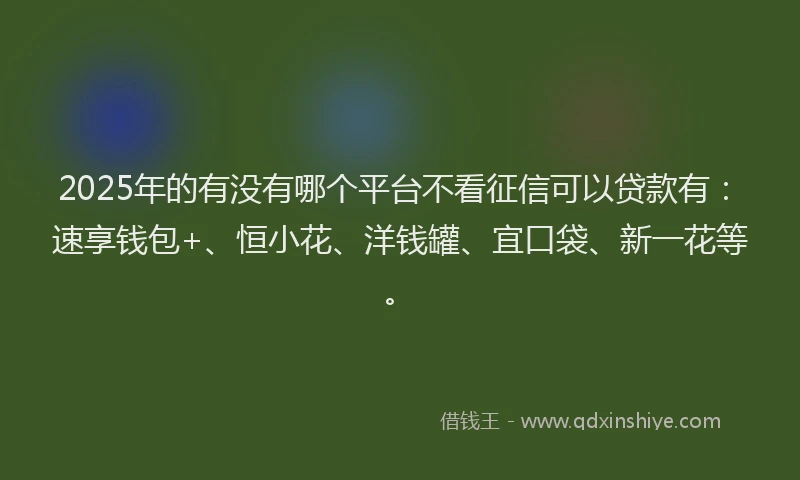 2025年的有没有哪个平台不看征信可以贷款有：速享钱包+、恒小花、洋钱罐、宜口袋、新一花等。