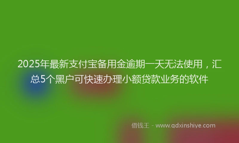 2025年最新支付宝备用金逾期一天无法使用，汇总5个黑户可快速办理小额贷款业务的软件