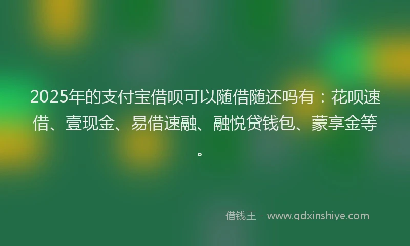 2025年的支付宝借呗可以随借随还吗有：花呗速借、壹现金、易借速融、融悦贷钱包、蒙享金等。