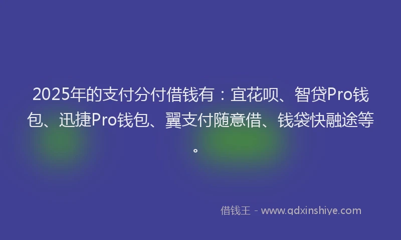 2025年的支付分付借钱有：宜花呗、智贷Pro钱包、迅捷Pro钱包、翼支付随意借、钱袋快融途等。