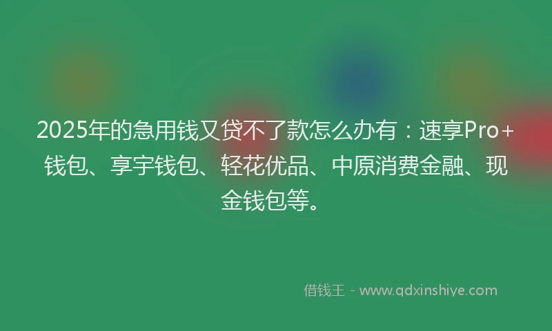 2025年的急用钱又贷不了款怎么办有：速享Pro+钱包、享宇钱包、轻花优品、中原消费金融、现金钱包等。