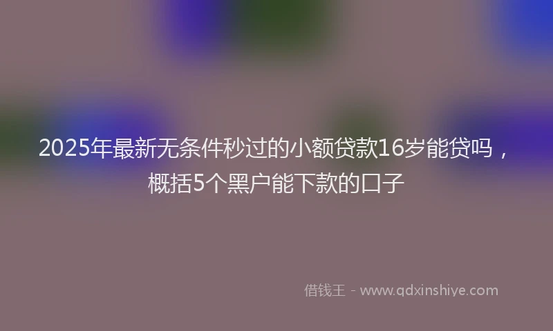 2025年最新无条件秒过的小额贷款16岁能贷吗，概括5个黑户能下款的口子