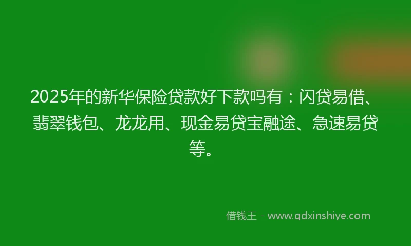 2025年的新华保险贷款好下款吗有：闪贷易借、翡翠钱包、龙龙用、现金易贷宝融途、急速易贷等。