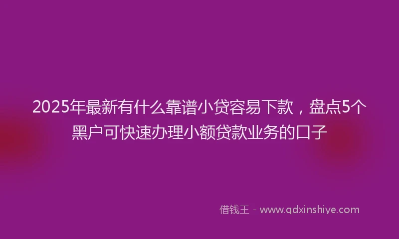 2025年最新有什么靠谱小贷容易下款，盘点5个黑户可快速办理小额贷款业务的口子