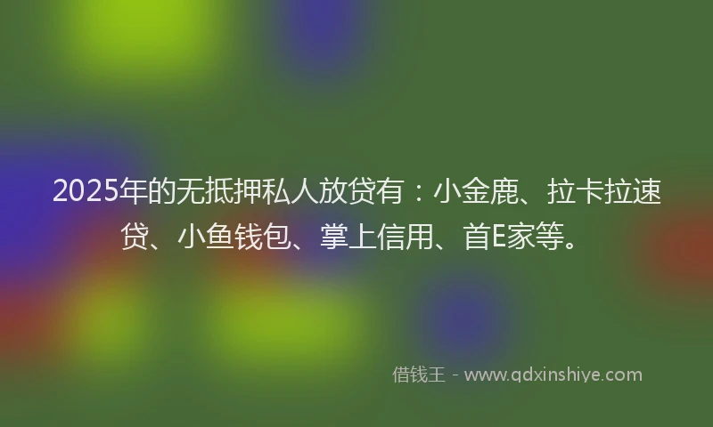 2025年的无抵押私人放贷有：小金鹿、拉卡拉速贷、小鱼钱包、掌上信用、首E家等。