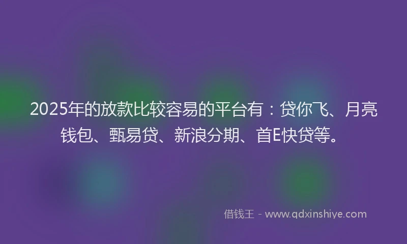 2025年的放款比较容易的平台有：贷你飞、月亮钱包、甄易贷、新浪分期、首E快贷等。