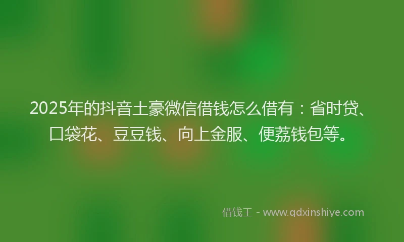 2025年的抖音土豪微信借钱怎么借有：省时贷、口袋花、豆豆钱、向上金服、便荔钱包等。