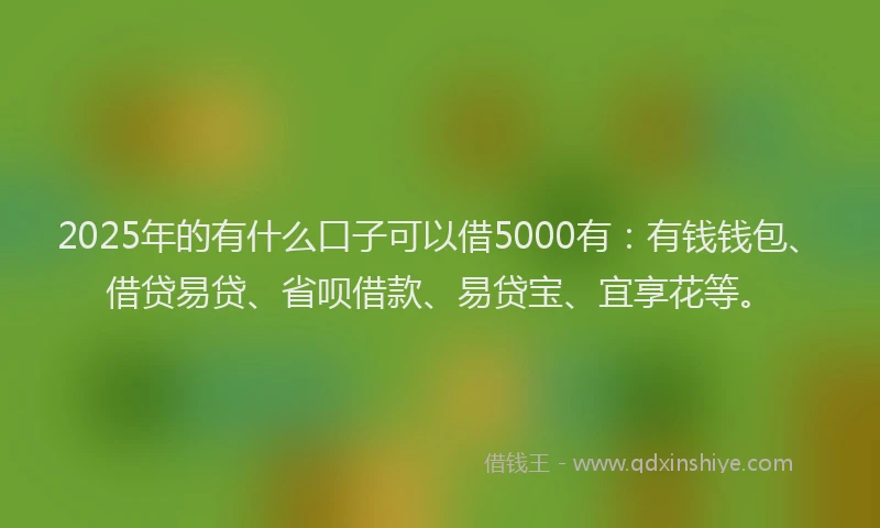 2025年的有什么口子可以借5000有：有钱钱包、借贷易贷、省呗借款、易贷宝、宜享花等。