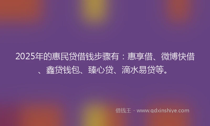 2025年的惠民贷借钱步骤有：惠享借、微博快借、鑫贷钱包、臻心贷、滴水易贷等。