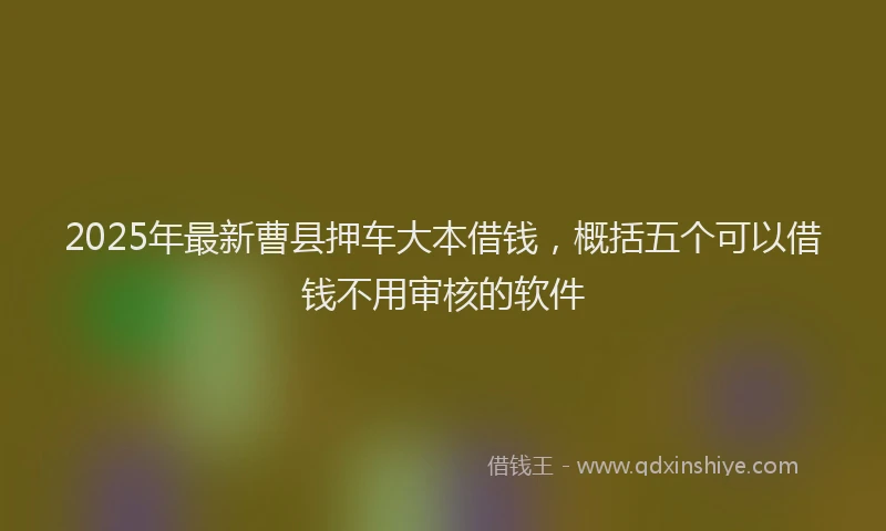 2025年最新曹县押车大本借钱，概括五个可以借钱不用审核的软件