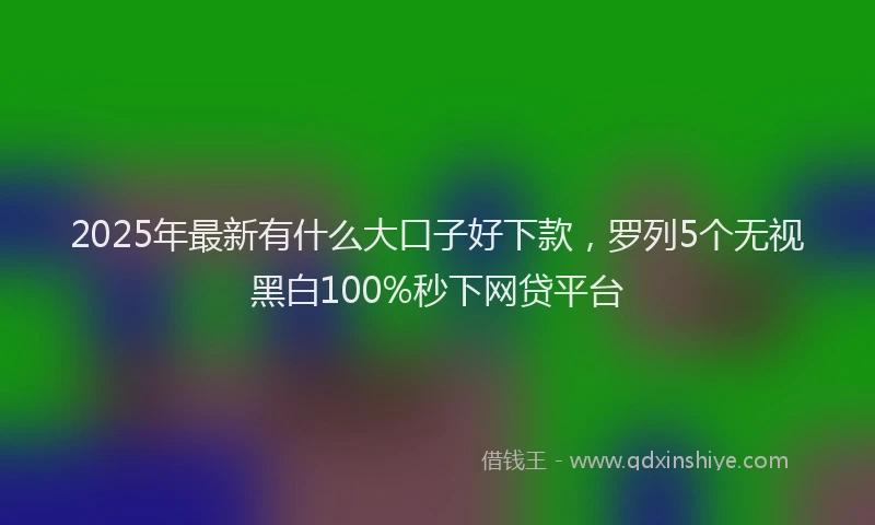 2025年最新有什么大口子好下款，罗列5个无视黑白100%秒下网贷平台