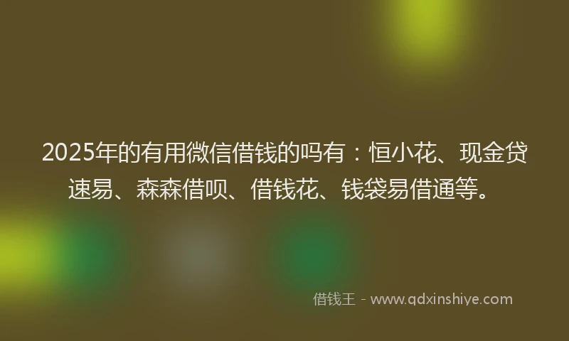 2025年的有用微信借钱的吗有：恒小花、现金贷速易、森森借呗、借钱花、钱袋易借通等。