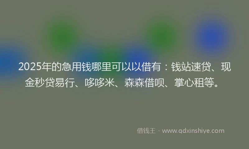 2025年的急用钱哪里可以以借有：钱站速贷、现金秒贷易行、哆哆米、森森借呗、掌心租等。