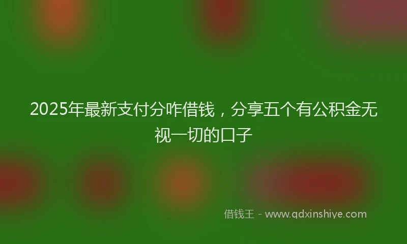 2025年最新支付分咋借钱，分享五个有公积金无视一切的口子