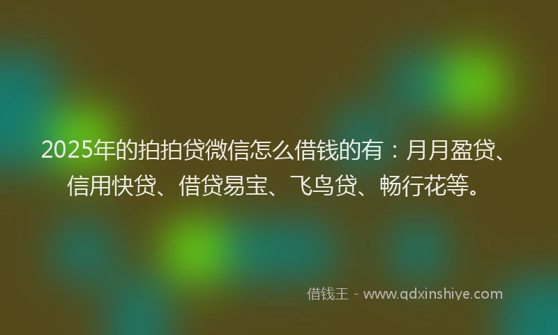 2025年的拍拍贷微信怎么借钱的有：月月盈贷、信用快贷、借贷易宝、飞鸟贷、畅行花等。