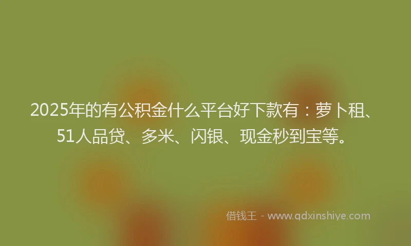 2025年的有公积金什么平台好下款有：萝卜租、51人品贷、多米、闪银、现金秒到宝等。