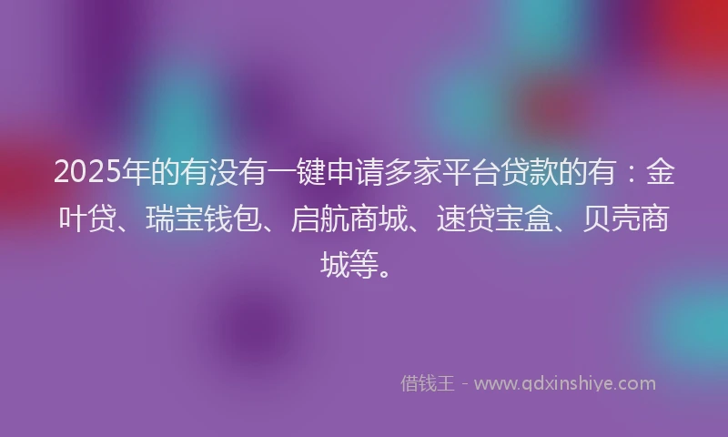 2025年的有没有一键申请多家平台贷款的有：金叶贷、瑞宝钱包、启航商城、速贷宝盒、贝壳商城等。