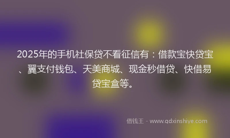 2025年的手机社保贷不看征信有：借款宝快贷宝、翼支付钱包、天美商城、现金秒借贷、快借易贷宝盒等。