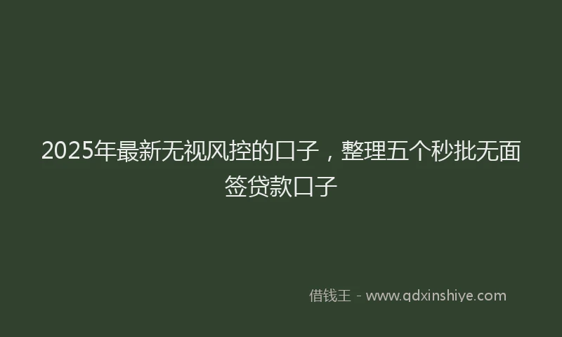 2025年最新无视风控的口子，整理五个秒批无面签贷款口子