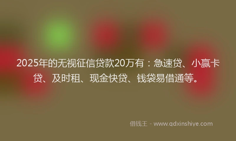 2025年的无视征信贷款20万有：急速贷、小赢卡贷、及时租、现金快贷、钱袋易借通等。