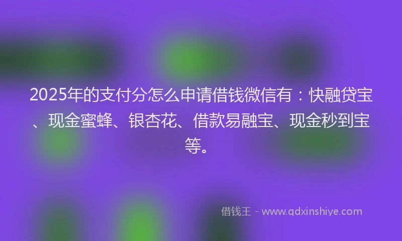 2025年的支付分怎么申请借钱微信有：快融贷宝、现金蜜蜂、银杏花、借款易融宝、现金秒到宝等。