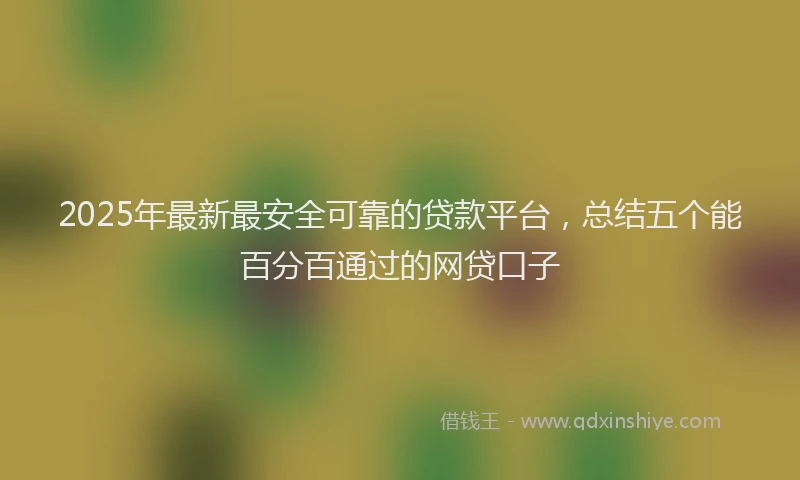 2025年最新最安全可靠的贷款平台，总结五个能百分百通过的网贷口子